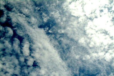 Image Concealment Films - MH Studios